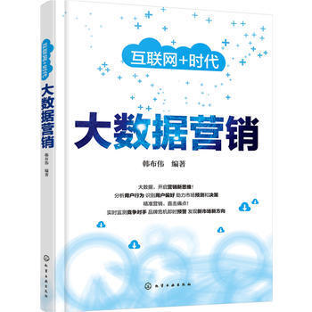 大數(shù)據(jù)營銷 數(shù)字時(shí)代的精準(zhǔn)銷售與戰(zhàn)略布局